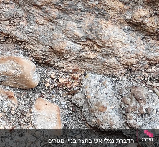 אבנים קטנות ואדמה על רקע סלע